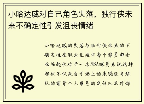 小哈达威对自己角色失落，独行侠未来不确定性引发沮丧情绪