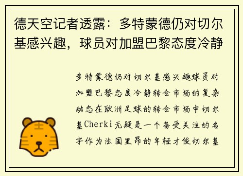 德天空记者透露：多特蒙德仍对切尔基感兴趣，球员对加盟巴黎态度冷静