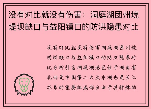 没有对比就没有伤害：洞庭湖团州垸堤坝缺口与益阳镇口的防洪隐患对比分析